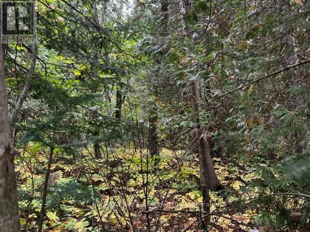 6 SHORE ROAD, Saugeen Shores, Ontario N0H2L0