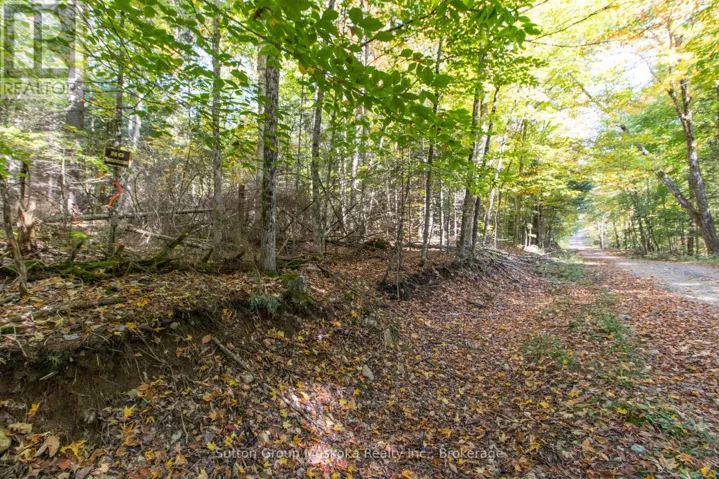 0 LYNX LAKE ROAD, Huntsville (Brunel), Ontario P1H2J3