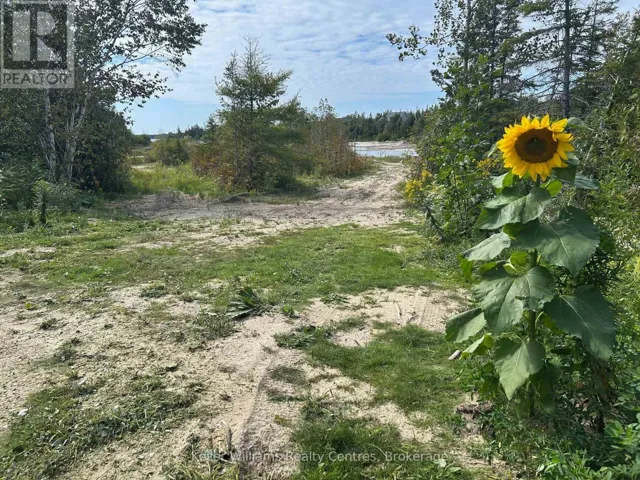 780