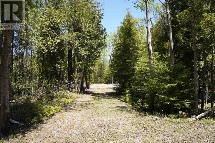 780