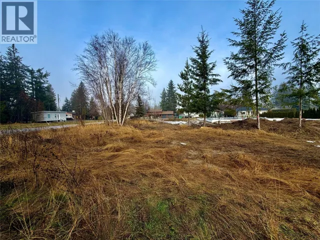 719 Parksville Street, Sicamous, British Columbia V0E2V0