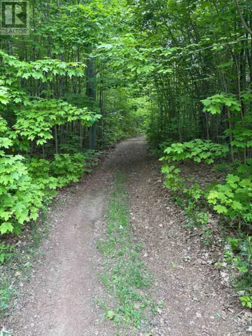 1043 LAWRENCE PIT ROAD, Muskoka Lakes (Watt), Ontario P0B1M0