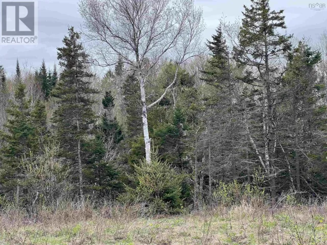 Long Beach Road, West Glenmont, Nova Scotia B0P1H0