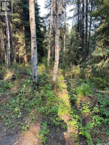 5.22 acre lot, Hudson Bay Rm No. 394, Saskatchewan S0E0Y0
