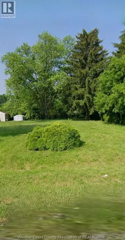 3869 Turner, Windsor, Ontario N8W3N4