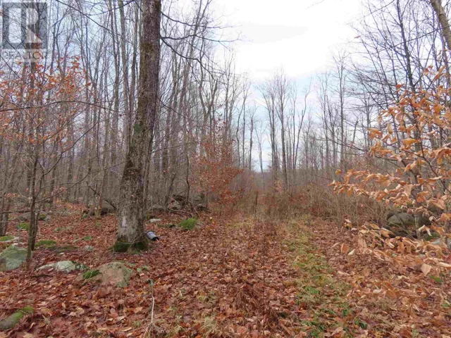 Lot 20 Concession S, Hilton, Ontario P0R1G0