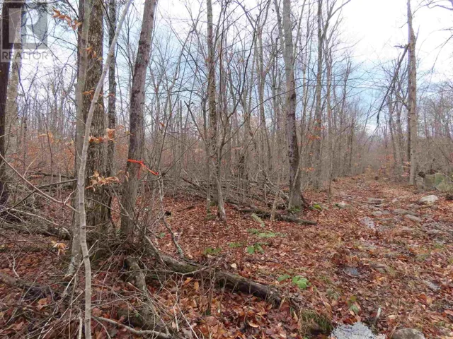 Lots 18, 19 Concession S, Hilton Twp, Ontario P0R1G0