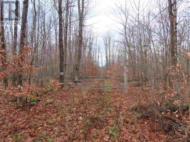 Lot 17 Concession R, Hilton Township, Ontario P0R1G0