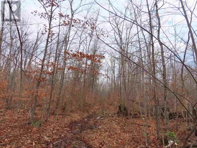 Lot 18 Concession R, Hilton Township, Ontario P0R1G0