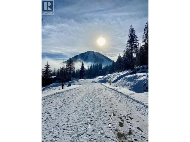 110 Topping Terrace, Rossland, British Columbia V0G1Y0