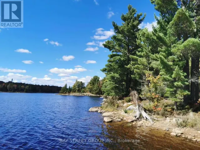 157 LAKE VISION ROAD, McMurrich/Monteith (Monteith), Ontario P0A1P0