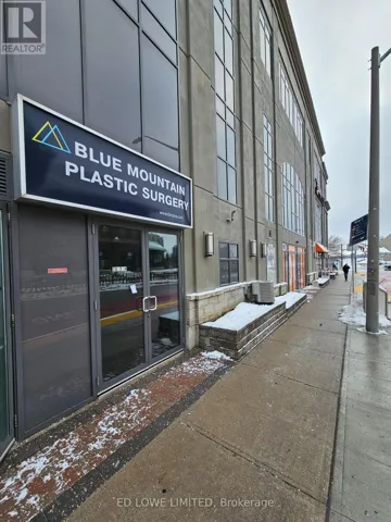 4 - 15 MAPLE AVENUE, Barrie (City Centre), Ontario L4N2N6