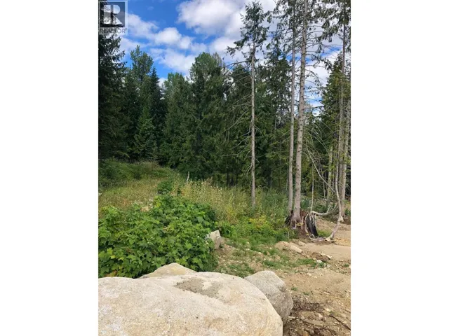 311 Ridge Road, Rossland, British Columbia V0G1Y0
