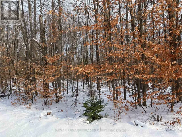 00 SIBERIA ROAD, Madawaska Valley, Ontario K0J1B0