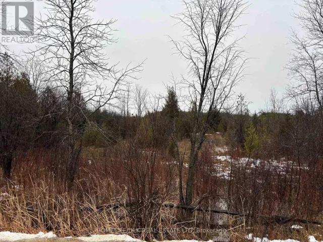 0 6TH CONCESSION ROAD, Augusta, Ontario K6V5T2