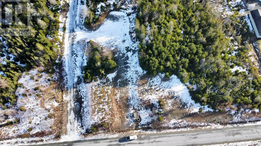 100 Amber Drive, Whitbourne, Newfoundland & Labrador A0B3K0