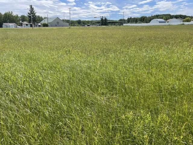 5002 50 Street, Brazeau County, Alberta T0E1Z0