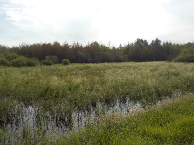 44 Street, Redwater, Alberta T0A2W0