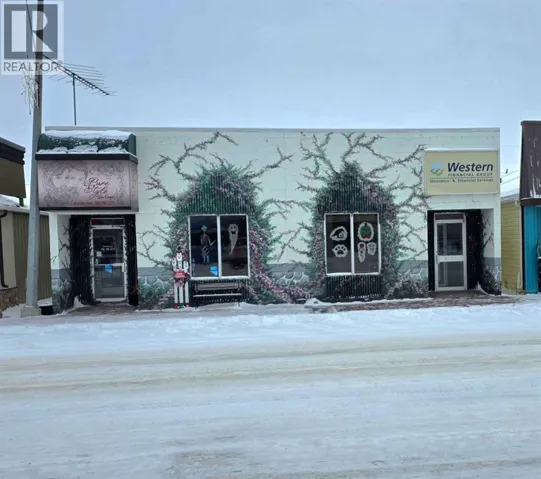 4817 50 Street, Mayerthorpe, Alberta T0E1N0