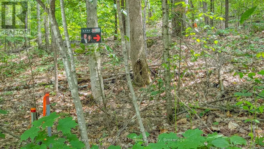 0 ROSSEAU LAKE RD 1, Muskoka Lakes (Watt), Ontario P0B1M0