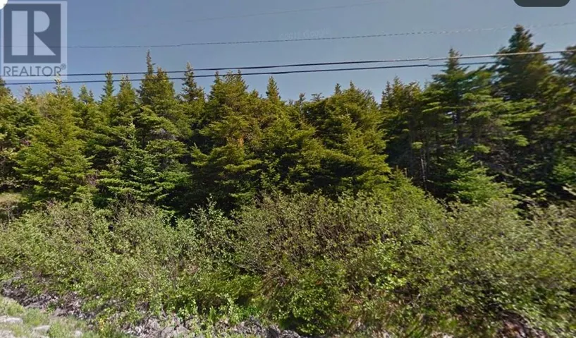 60-64 Doran's Lane, Outer Cove, Newfoundland & Labrador A1K4A7