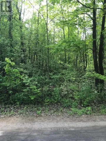 0 GRAHAM LAKE ROAD, Front of Yonge, Ontario K0E1R0