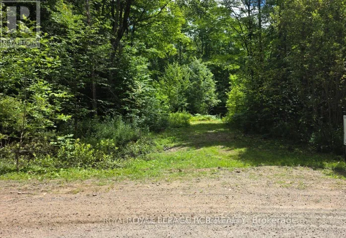 PT LOT 6 CON 10 MONMOUTH MADILL ROAD, Highlands East (Monmouth), Ontario K0M1R0