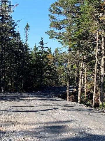 LOT 5 Halleran Trail, Brigus Junction, Newfoundland & Labrador A0B1G0