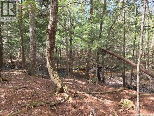 0 Crest Avenue, Heathland, New Brunswick E3L5C1