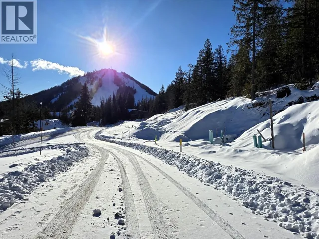 101 Topping Terrace, Rossland, British Columbia V0G1Y0