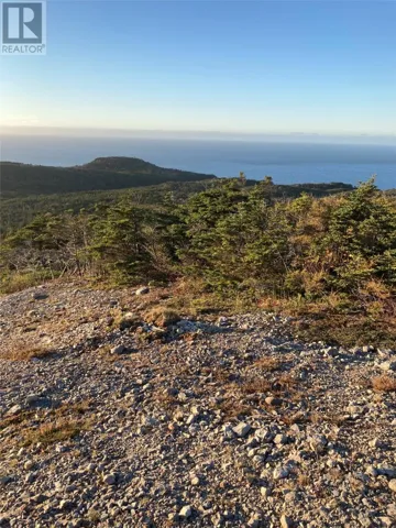 1690 Oceanview Drive, Cape St. George, Newfoundland & Labrador A0N1E0
