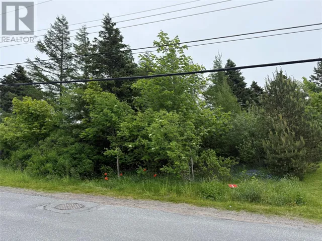 49 Back Road, Upper Island Cove, Newfoundland & Labrador A0A4E0