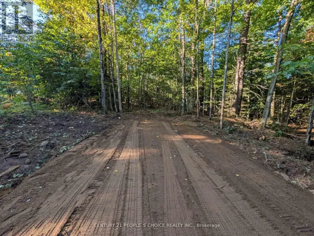 1055 PORKYS ROAD, Minden Hills (Snowdon), Ontario K0M2K0