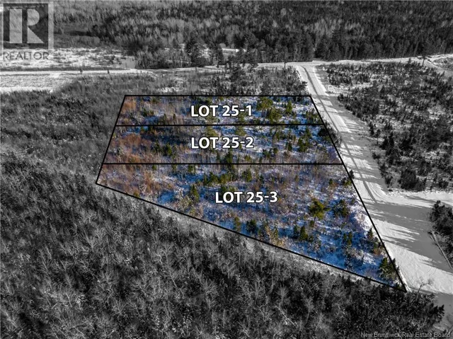 LOT 25-1 Hannay Road, Galloway, New Brunswick E4W2M4