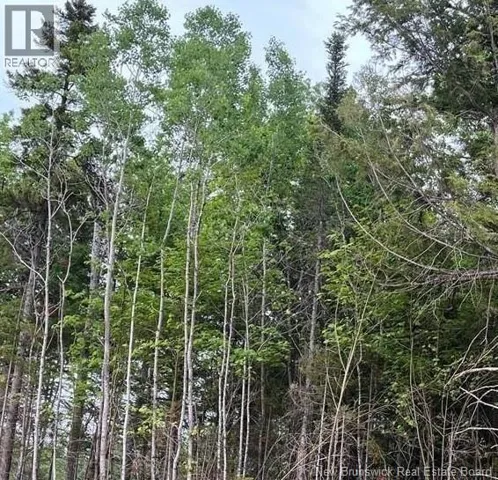 24-700 Stanley Street, Lower Coverdale, New Brunswick E1J0B6