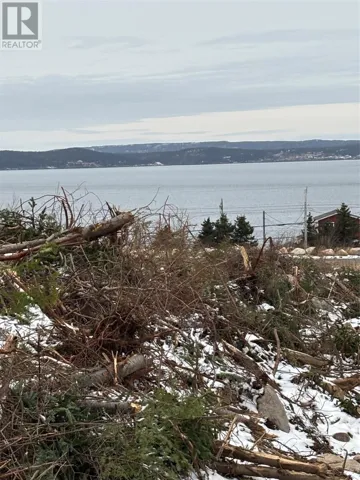 Lot 1 Silas Morgan Estates, Conception Bay South, Newfoundland & Labrador A1X6R8