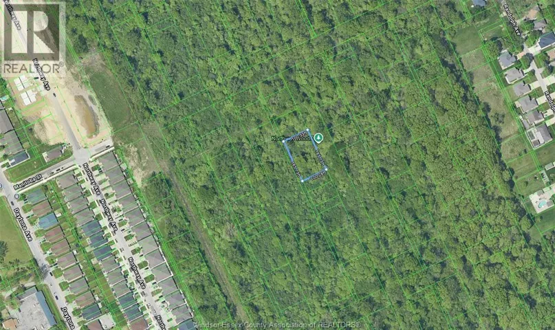 V/L CALIFORNIA, Windsor, Ontario N9B2N9