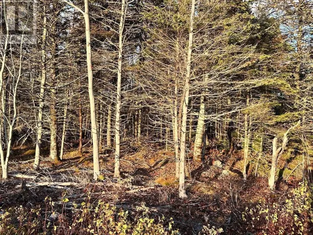 Lot 9 Shore Road, Western Head, Nova Scotia B0T1K0