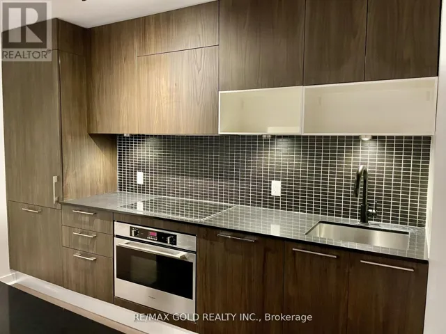 310 - 501 ADELAIDE STREET W, Toronto (Waterfront Communities), Ontario M5V0R3