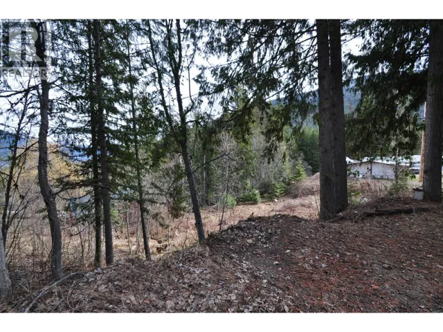 2835 SILVER KING Road, Nelson, British Columbia V1L7A5