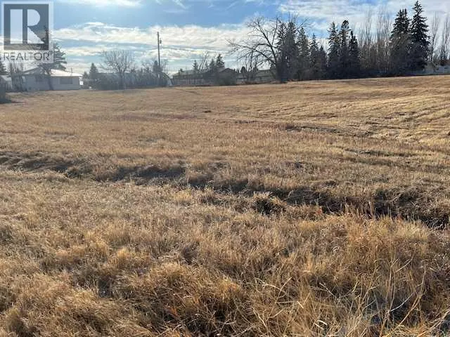 629 11 Street W, Brooks, Alberta T1R0E2