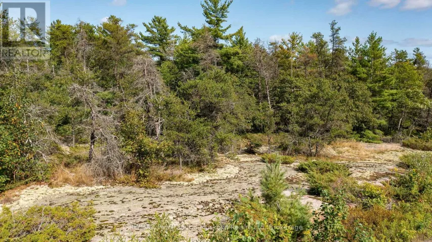 3 CORDUROY BAY ROAD, Carling, Ontario P0G1G0