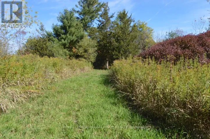 00 SCRIVER ROAD, Brighton, Ontario K0K1H0