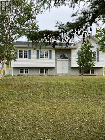 32 Park Road, McIvers, Newfoundland & Labrador A2H8E9