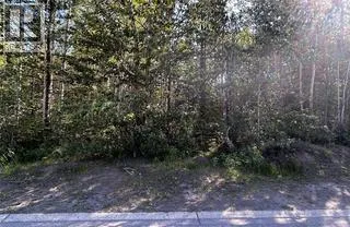 160 Murray Drive, Tumbler Ridge, British Columbia V0C2W0