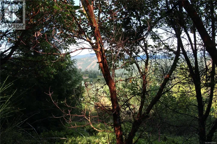 Lot 29 Goldstream Heights Dr, Shawnigan Lake, British Columbia V0R2L0