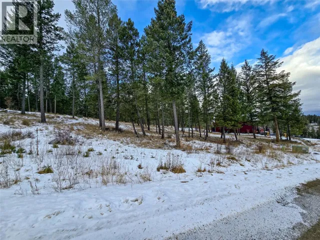 2454 Castlestone Drive, Invermere, British Columbia V0A1K6