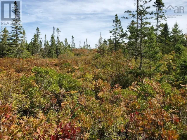 Lot Rockland Road, Rockland, Nova Scotia B0T1V0