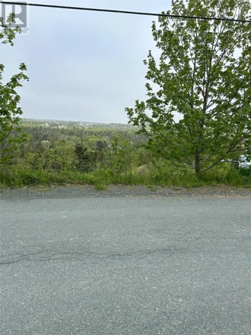 41-43 Easons Road, Conception Bay South, Newfoundland & Labrador A1W3B9