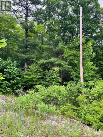 0 (PIN - 40264-0091) POTTER SETTLEMENT ROAD, Tweed (Hungerford (Twp)), Ontario K0K3J0